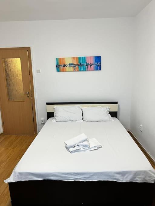 Joy City Stay Victoriei 7G-23 ティミショアラ エクステリア 写真